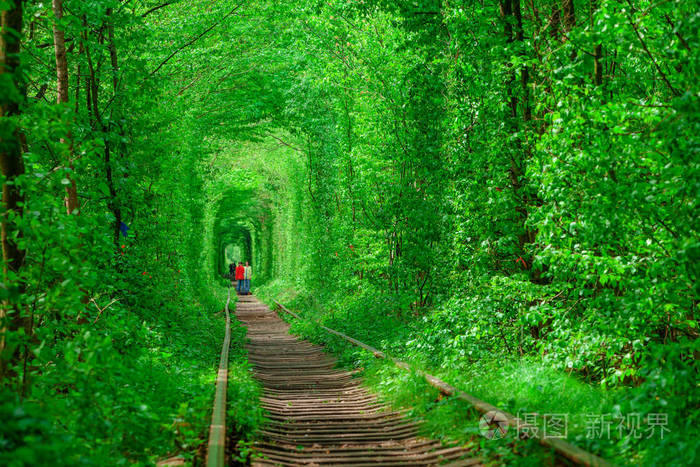 在春天森林铁路