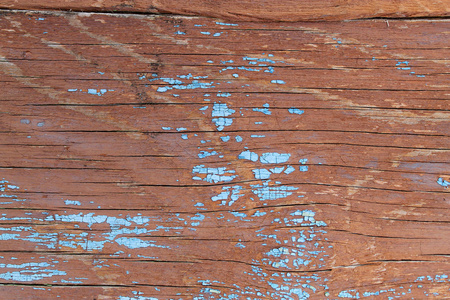 明亮的自然背景装饰棕色木板表面纹理与老树的图案