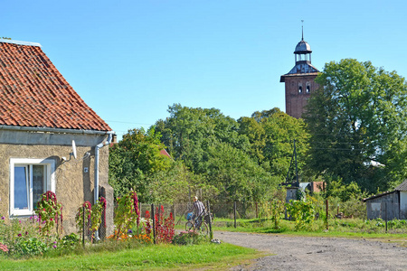 省的风景在晴朗的天。Znamensk, 加里宁格勒地区