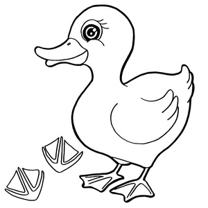 着色打印图片-着色打印素材-着色打印插画-摄图新视界