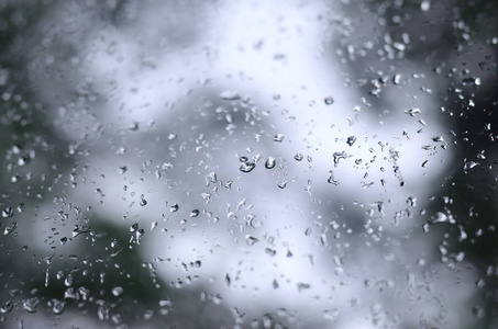 一张雨点的照片落在玻璃窗上, 模糊地看着那朵盛开的绿树。显示多云和阴雨天气情况的抽象图像