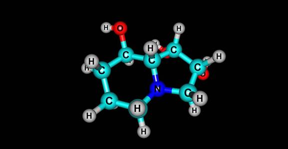 苦马豆素分子结构上黑色孤立