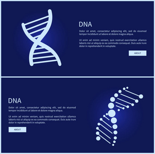 网页矢量图的 Dna 采集