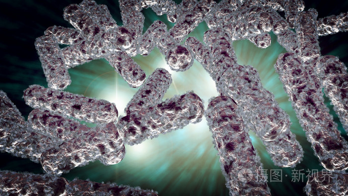 大肠杆菌细菌细胞