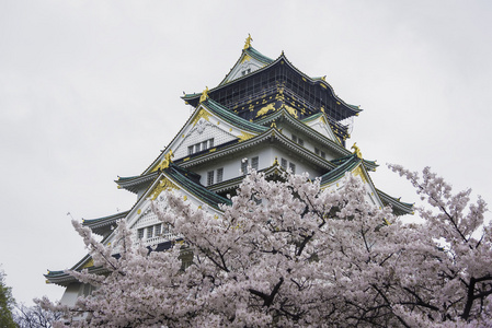 日本大阪城堡的樱花。日本春季视图