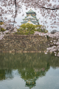 日本大阪城堡的樱花。日本春季视图