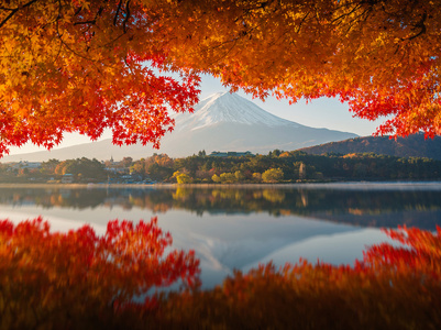 在秋天，清晨的富士山