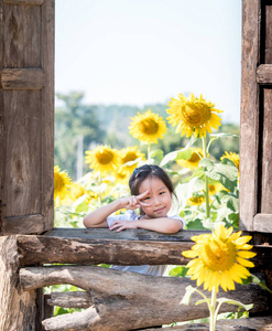 亚洲可爱的小女孩的肖像在 sunflowe 领域