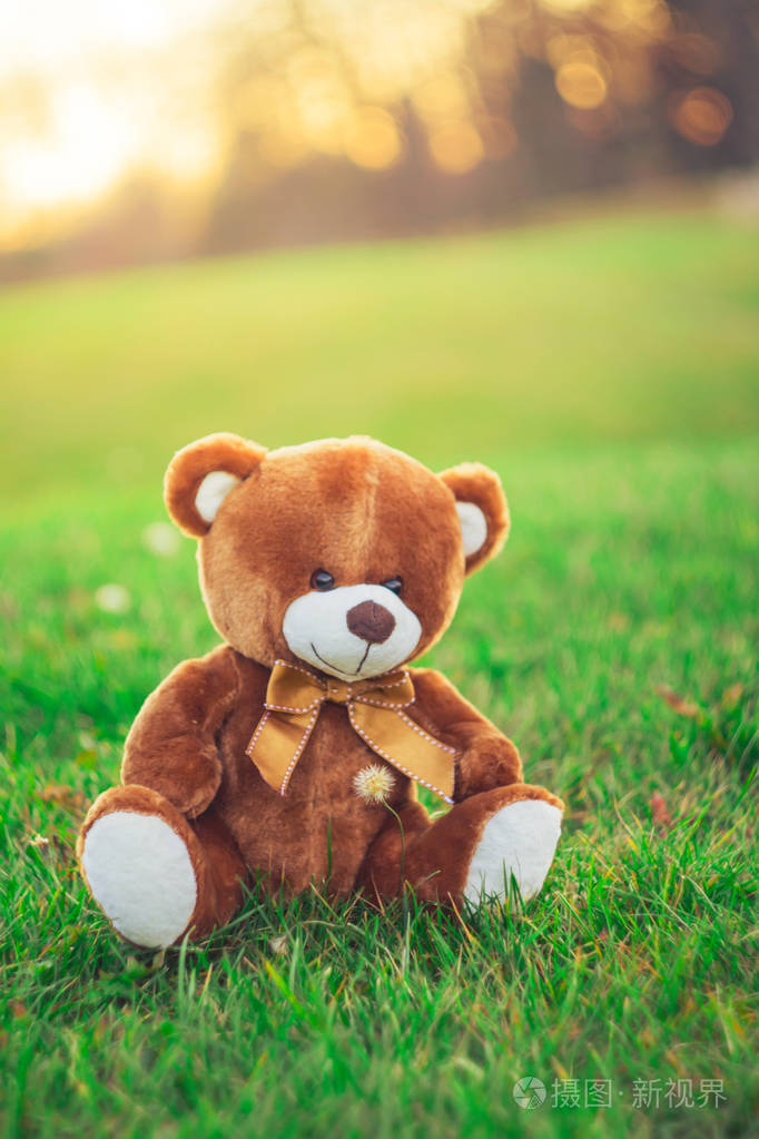 玩具熊在草地上坐在美丽的一天金秋季节