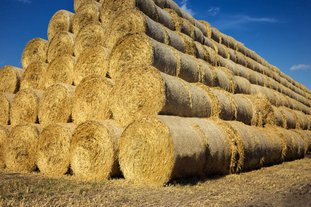 面包卷的草垛上的字段。夏季农场景色与背景下的美丽的日落的干草堆。农业概念