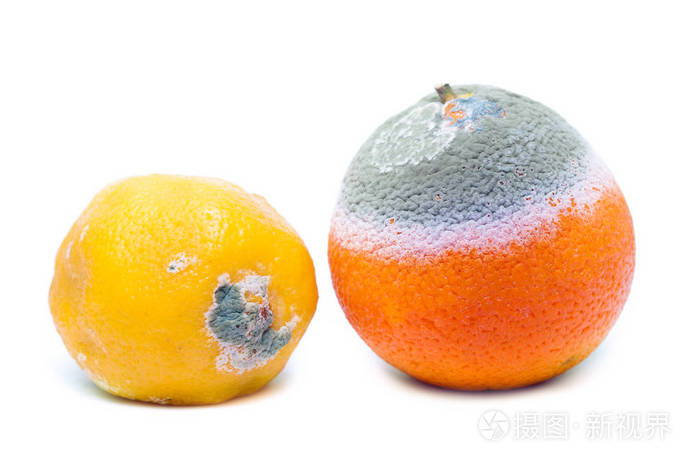 发霉腐烂的橙色和柠檬水果隔离白色