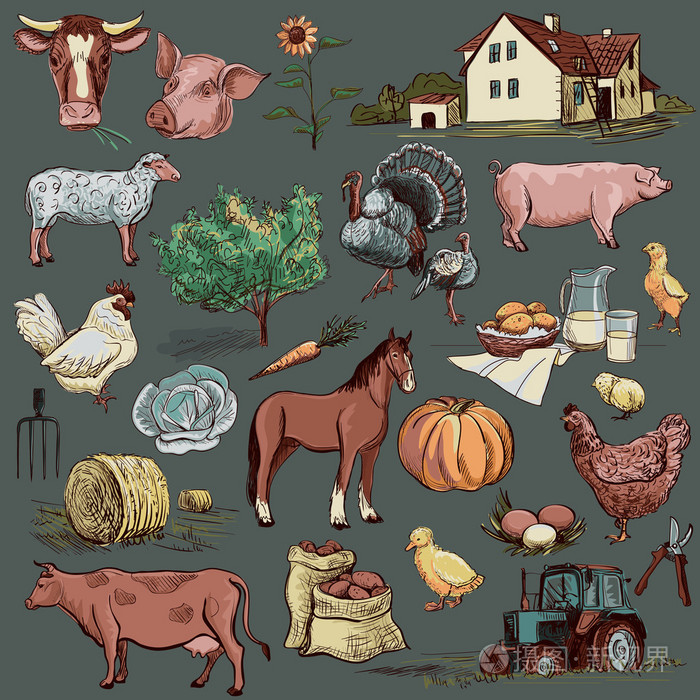 原始手绘农场集合