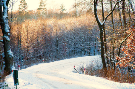 在冬天白雪覆盖的乡间小路上