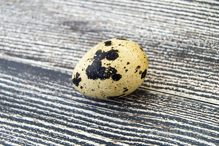 木地板上只有一个鹌鹑蛋
