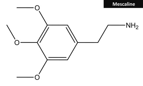 美斯卡灵的分子结构