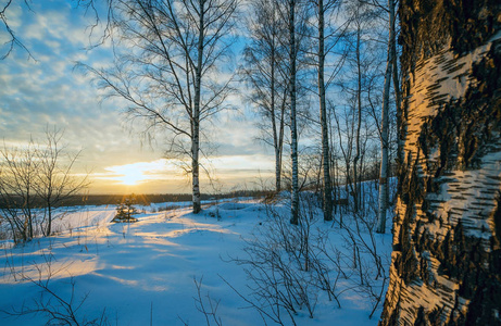 冬天真实农村风景图片图片