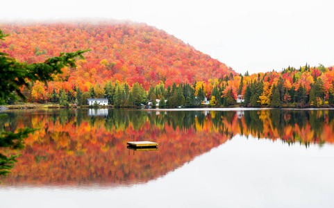 中北魁北克，加拿大 Autumnn 颜色