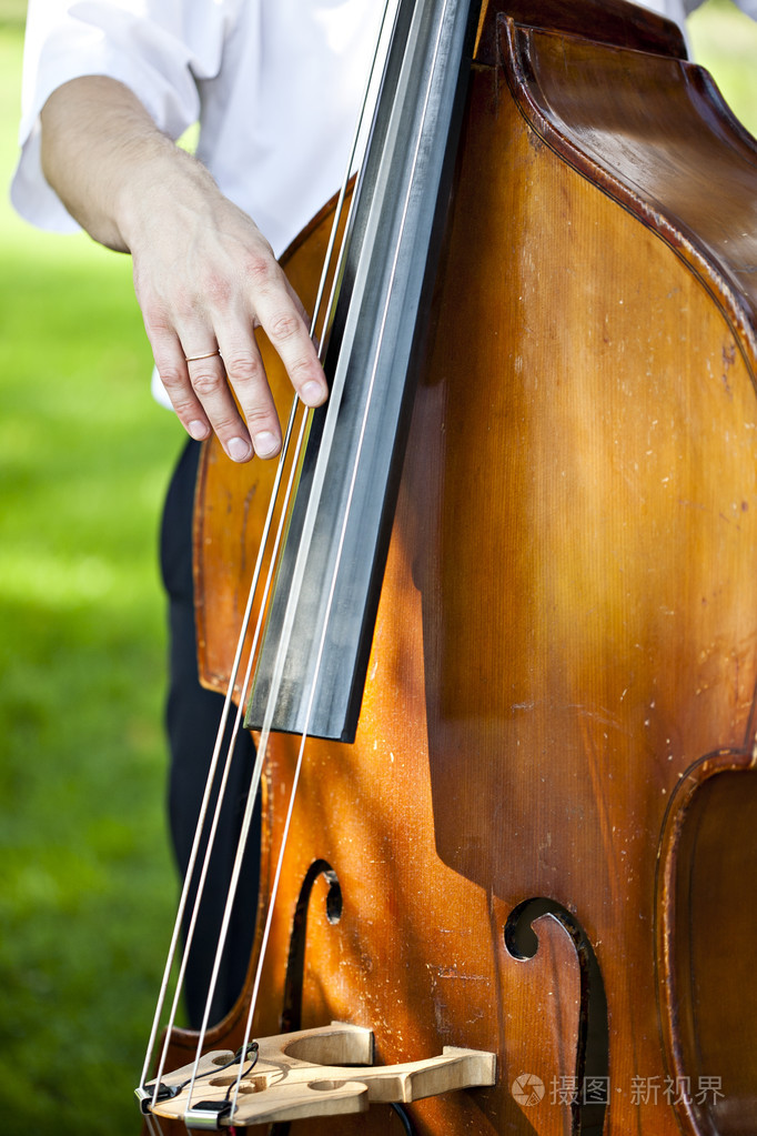 男性的低音提琴手