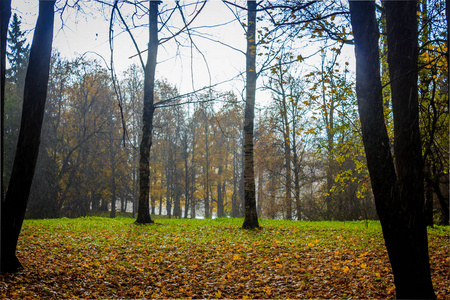 俄罗斯, 列宁格勒地区, Gatchina, Gatchina 公园