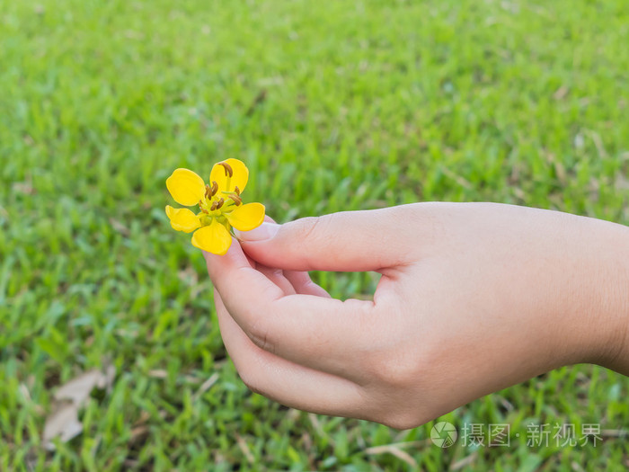 手中拿着黄色的小花儿