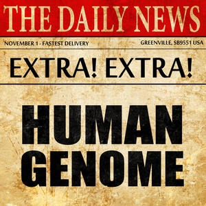 人类基因组，报纸文章文本