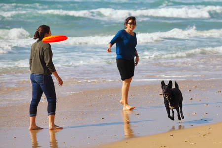 母亲和女儿在海滩玩狗