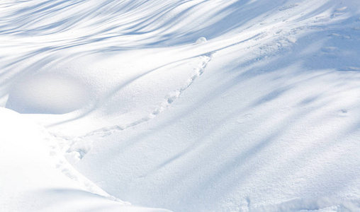 雪冬天纹理