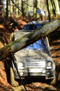 肮脏的越野汽车克服了秋季森林中的障碍, 选择性聚焦