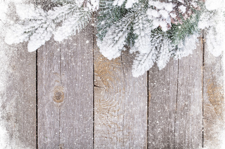 旧木材纹理的冷杉树汁与雪