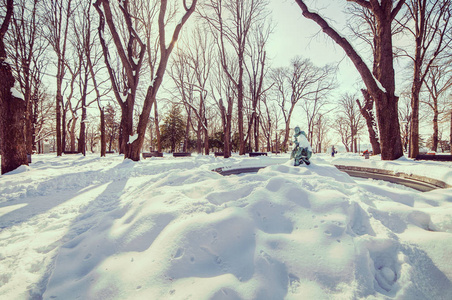 城市公园在雪之下