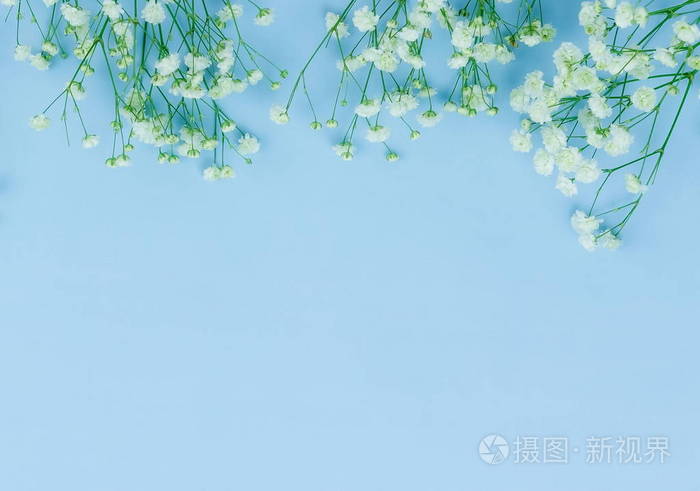 花卉背景.白色满天星花的花束在浅蓝色背景.顶部视图.复制空间.