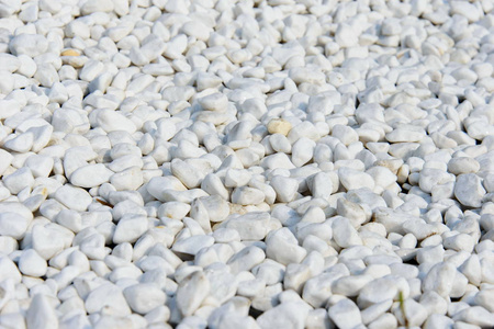 白色砾石卵石石纹理的花园小径