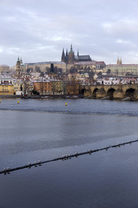 在捷克共和国伏尔塔瓦河河畔的哥特式城堡的圣诞节雪布拉格小镇