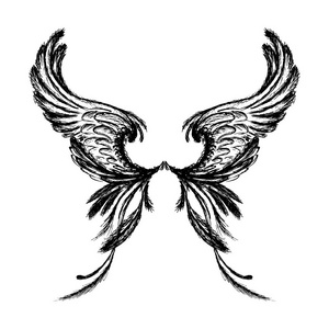 白色背景,手绘上孤立的翅膀照片