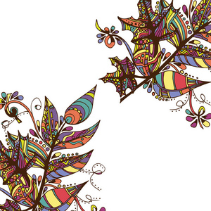 羽毛和树叶。卡片, 抽象, 手工画的涂鸦