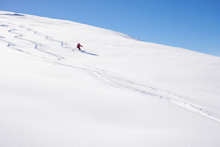 Freeriding 对新鲜粉雪