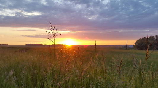 西伯利亚田野的夕阳风光