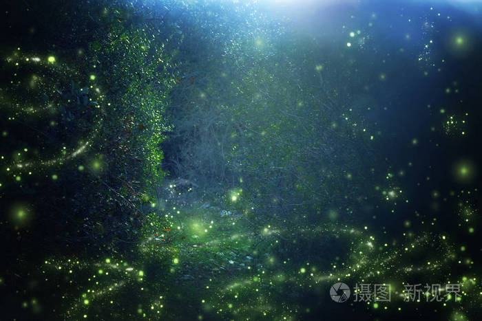 萤火虫在夜间森林中飞行的抽象和神奇的形象.童话概念