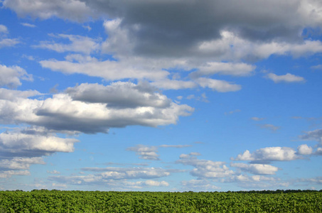 在多云的蓝天下, 有一个绿色田野的乡村景观