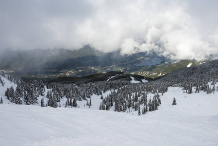 雪覆盖在山上的常青树与村庄在背景, 惠斯勒, 不列颠哥伦比亚省, 加拿大