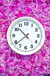白钟面表盘上粉色牡丹鲜花背景图片