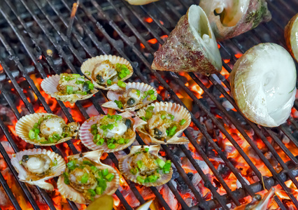 扇贝贝壳扇贝贝壳烤海鲜照片