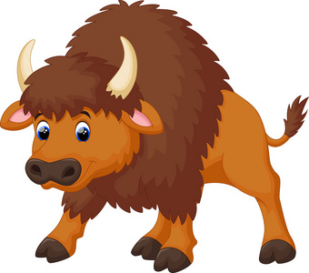 野牛可爱卡通照片