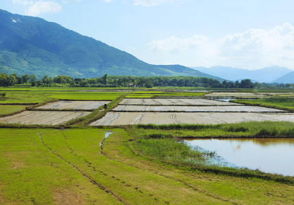 稻田和农村风景背景