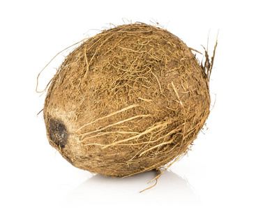 椰子被隔绝在白色背景一坚果褐色纤维束