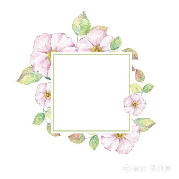 水彩花框4 水彩背景照片 正版商用图片0g47qd 摄图新视界