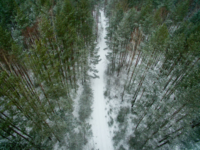 冬天的森林和道路。视图。照片是用无人驾驶飞机拍摄的。雪中有路的松树和云杉森林
