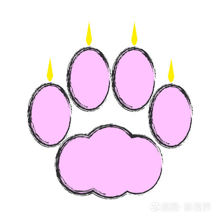 白色背景上的猫爪子