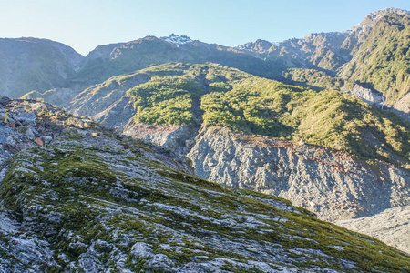 绿苔在岩石与山脉背景在狐狸冰川, 新西兰