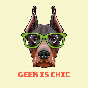 杜宾犬背景图图片